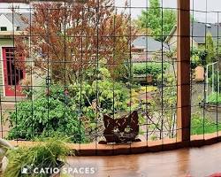 The Purr-fect Perch: Creating a Catio on Your Small Balcony