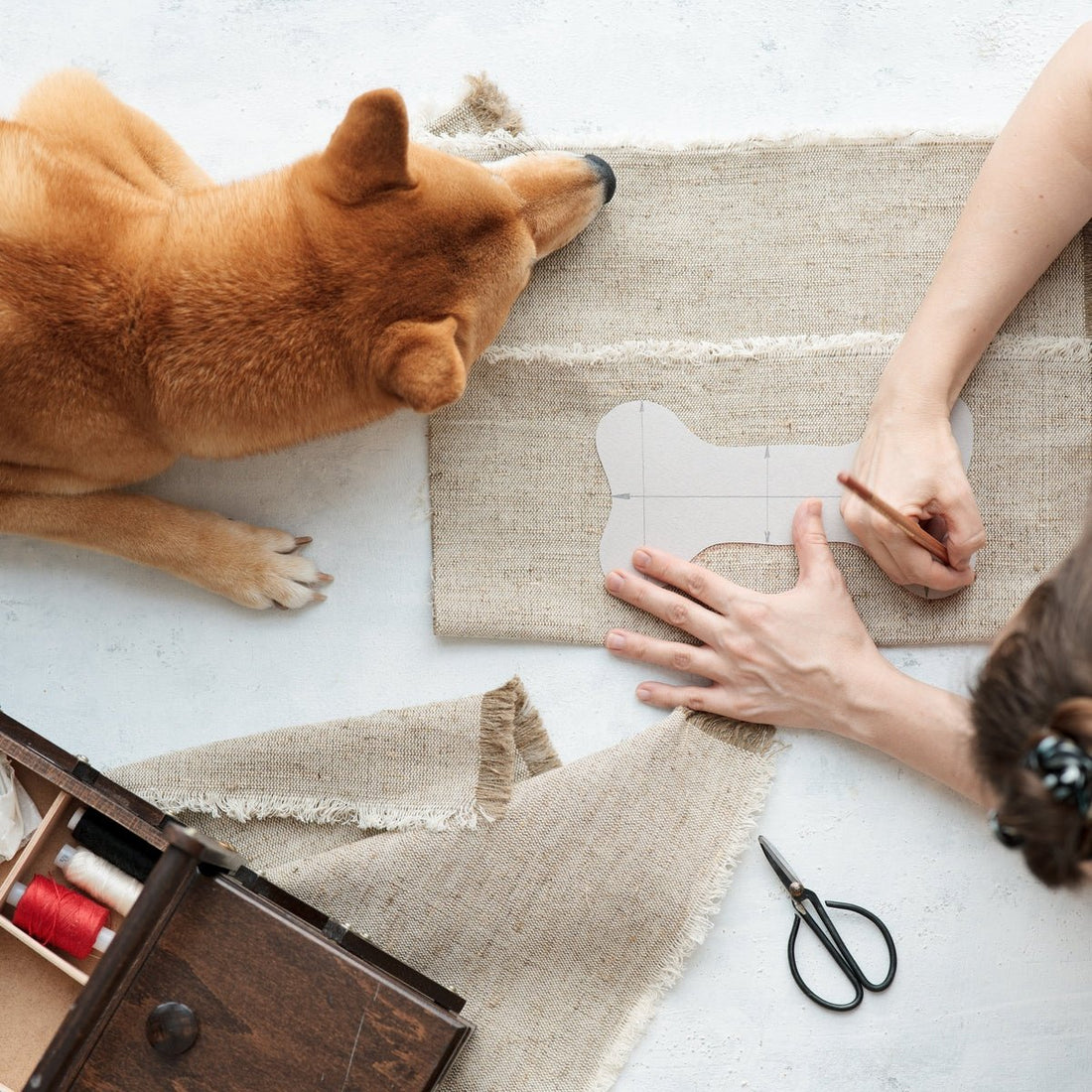 DIY Pet Projects: - Woofy and Whiskers