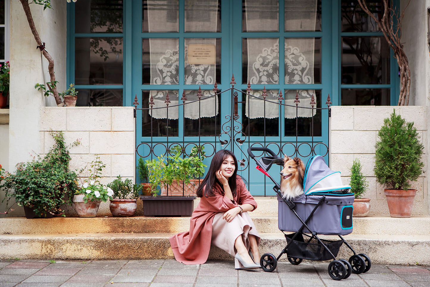 Ibiyaya Easy Strolling Pet Buggy - Simple Gray pet stroller Ibiyaya Red Violet