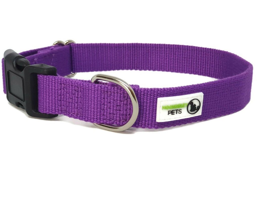 100% Pure Bamboo Fibre Dog Collar Plastic Buckle - Moondidley Pets Large Black Pet Care > Dog Supplies > Dog Apparel Moondidley Purple XS