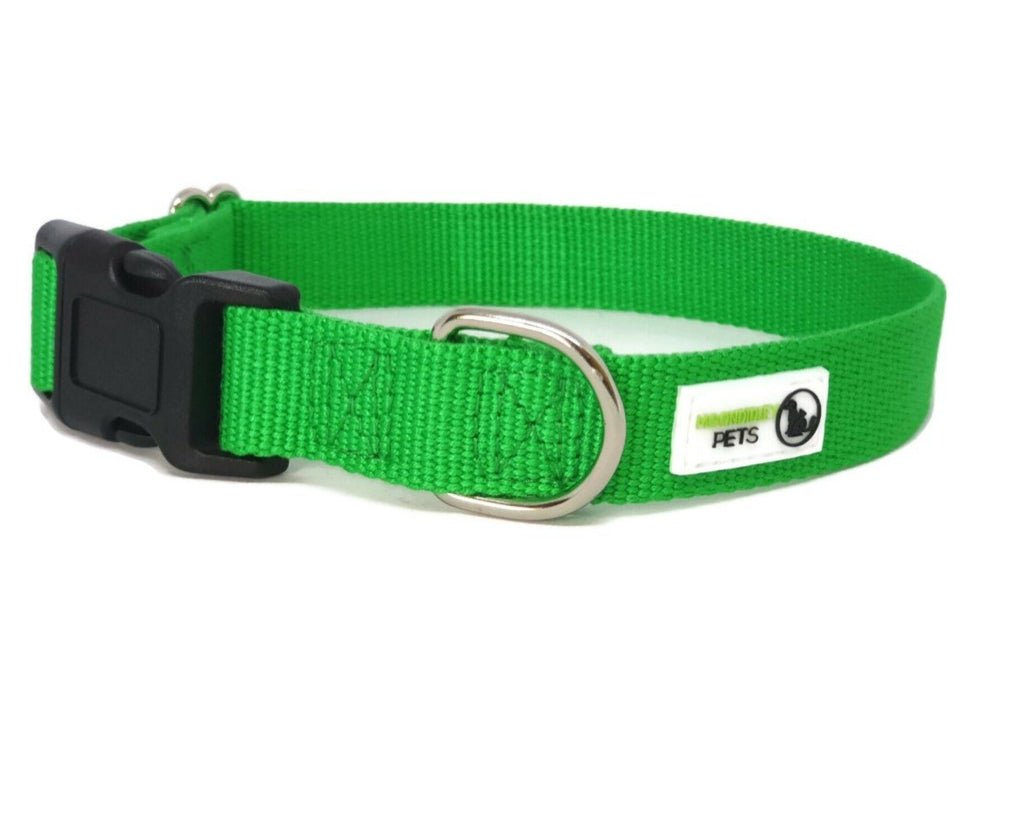 100% Pure Bamboo Fibre Dog Collar Plastic Buckle - Moondidley Pets Large Black Pet Care > Dog Supplies > Dog Apparel Moondidley Green XS
