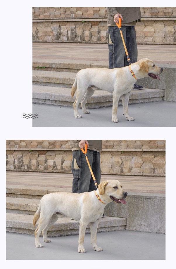 Tuff Hound Leash Dog Leash Tuff Hound