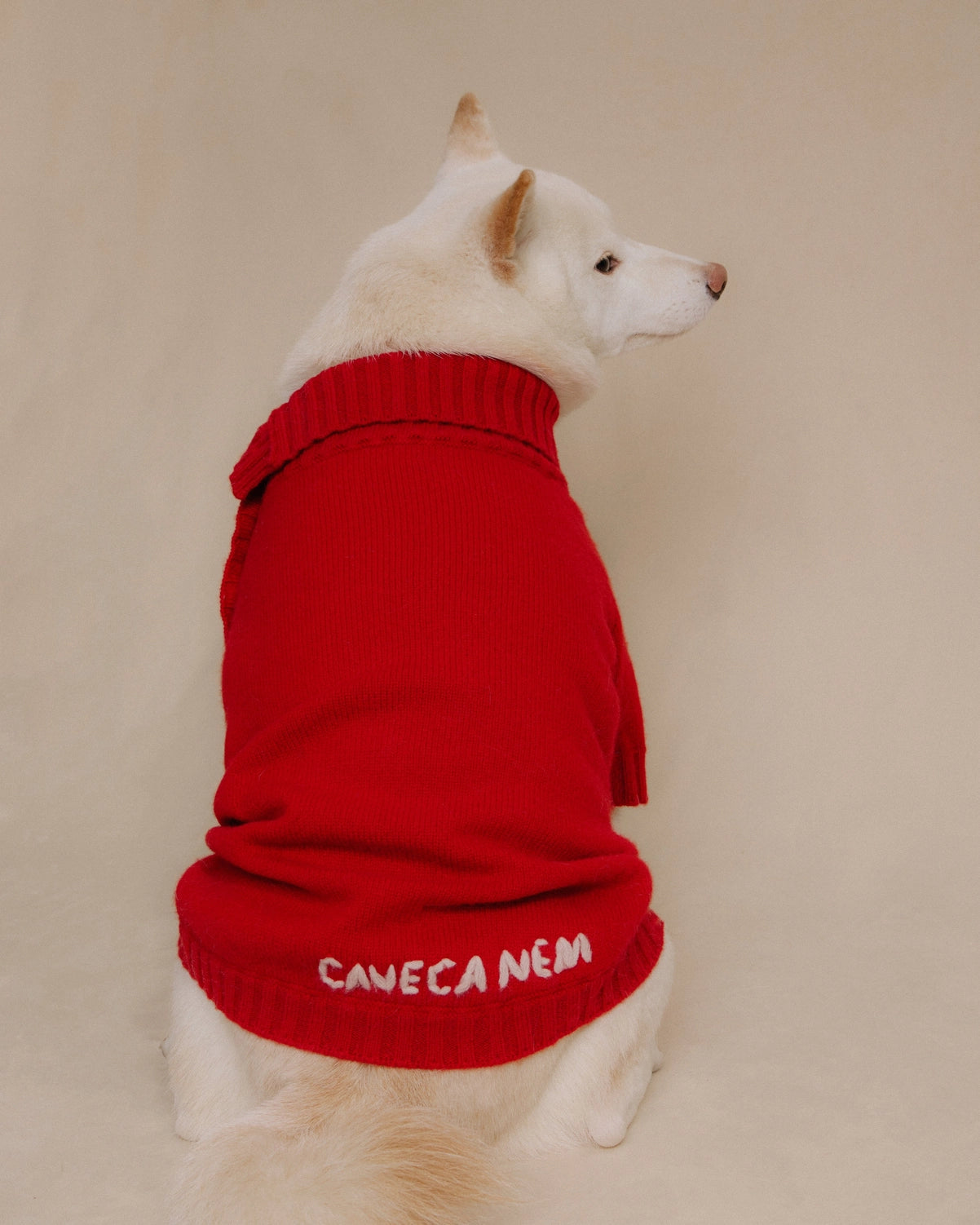 100% woolen dog jumper Merino Wool Dog Sweater with Vintage Dome Buttons Retro Red Merino wool 100% woolen dog jumper Cave Canem