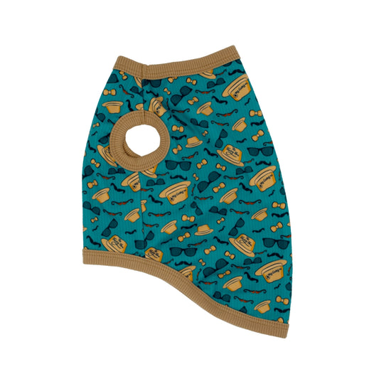 Cool Catnip: Stylish Hats, Glasses, and Cat Clothing cat clothing The furry fox