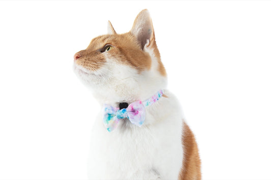 Cat Collar & Bow Tie: Cotton Candy cat collar & Bow Tie Little Kitty Co