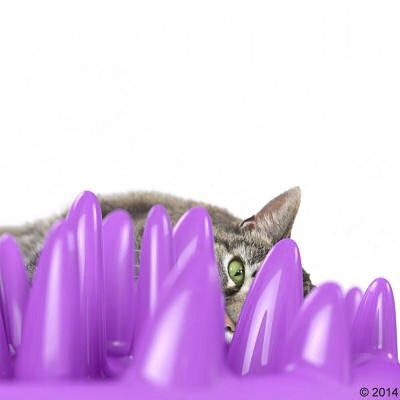 Northmate Catch Interactive Slow Food Cat Bowl interactive slow feeder for Cats northmate