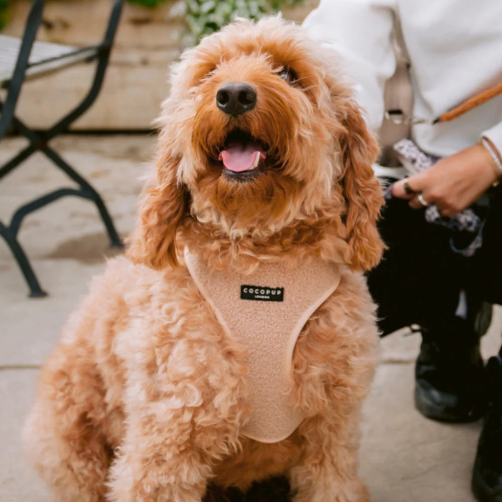 Cocopup London – Dog Walking Bag – Teddy Rupert Pet Care > Dog Supplies > Dog Collars, Leads & Harnesses Cocopup London Harness X Small