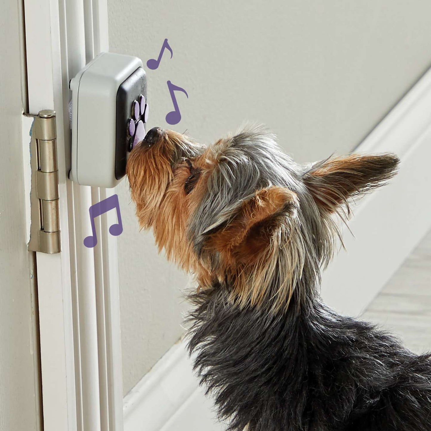 Hunger For Words Talking Pet Doorbell - Perfect when there's no doggy door! interactive dog doorbell Hunger for words