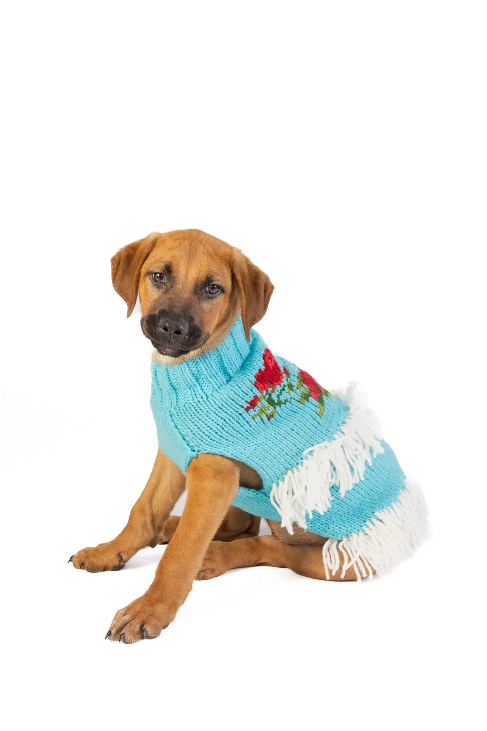 Chilly Dog Rodeo Dog & Cat Sweater Chilli Dog