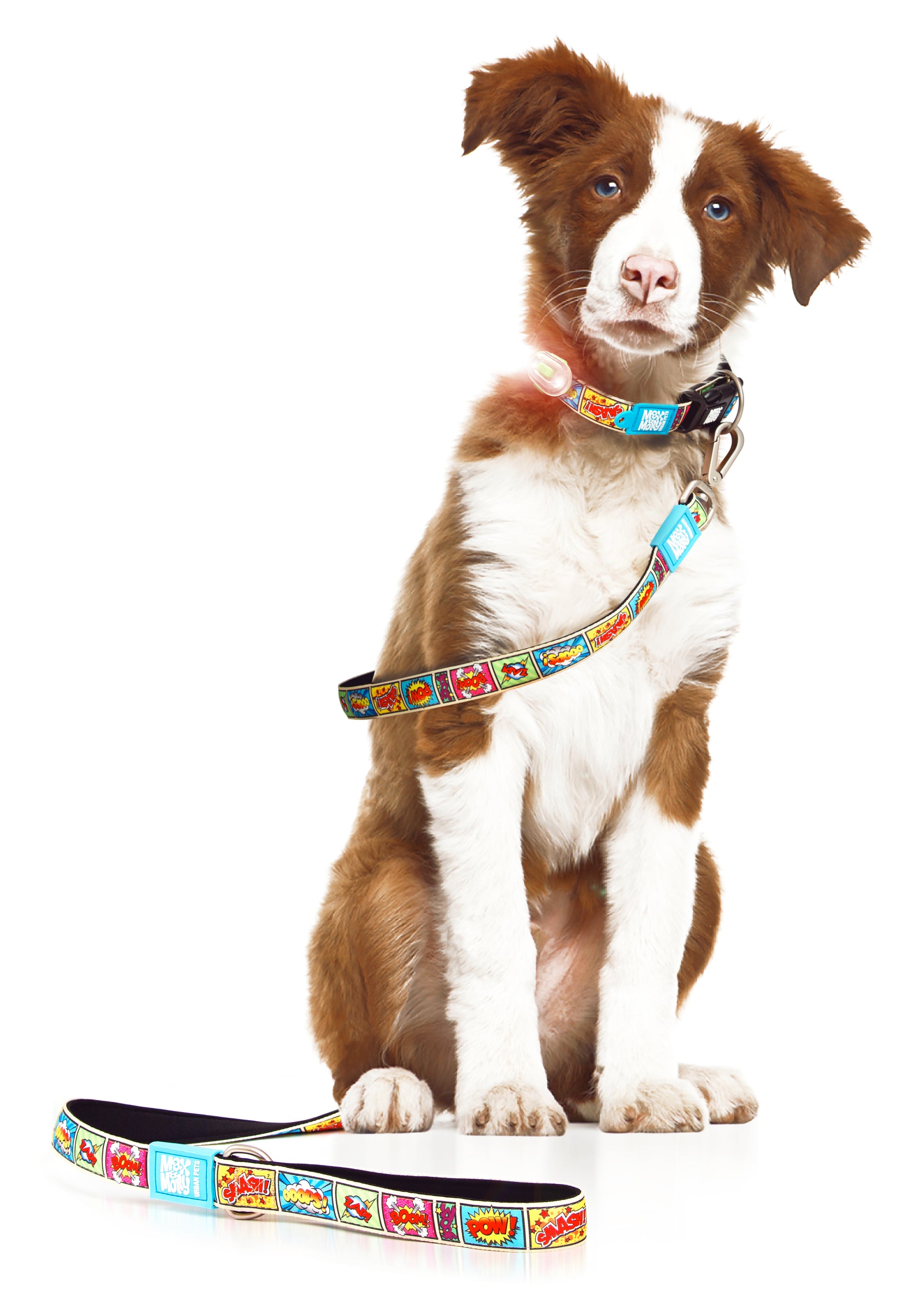 Max and Molly Dog Lead - Large Size - Various Designs - Woofy and Whiskers-Polyester-Quick drying neoprene- Heavy Duty Lobster claw metal clip- Pet Care > Dog Supplies Max & Molly Urban Pets