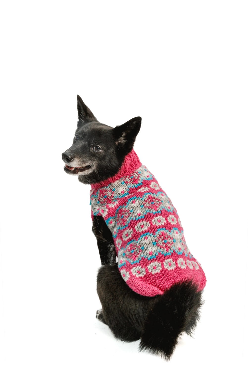 Rose Alpaca Fairisle Hand knitted dog jumper Chilli Dog L