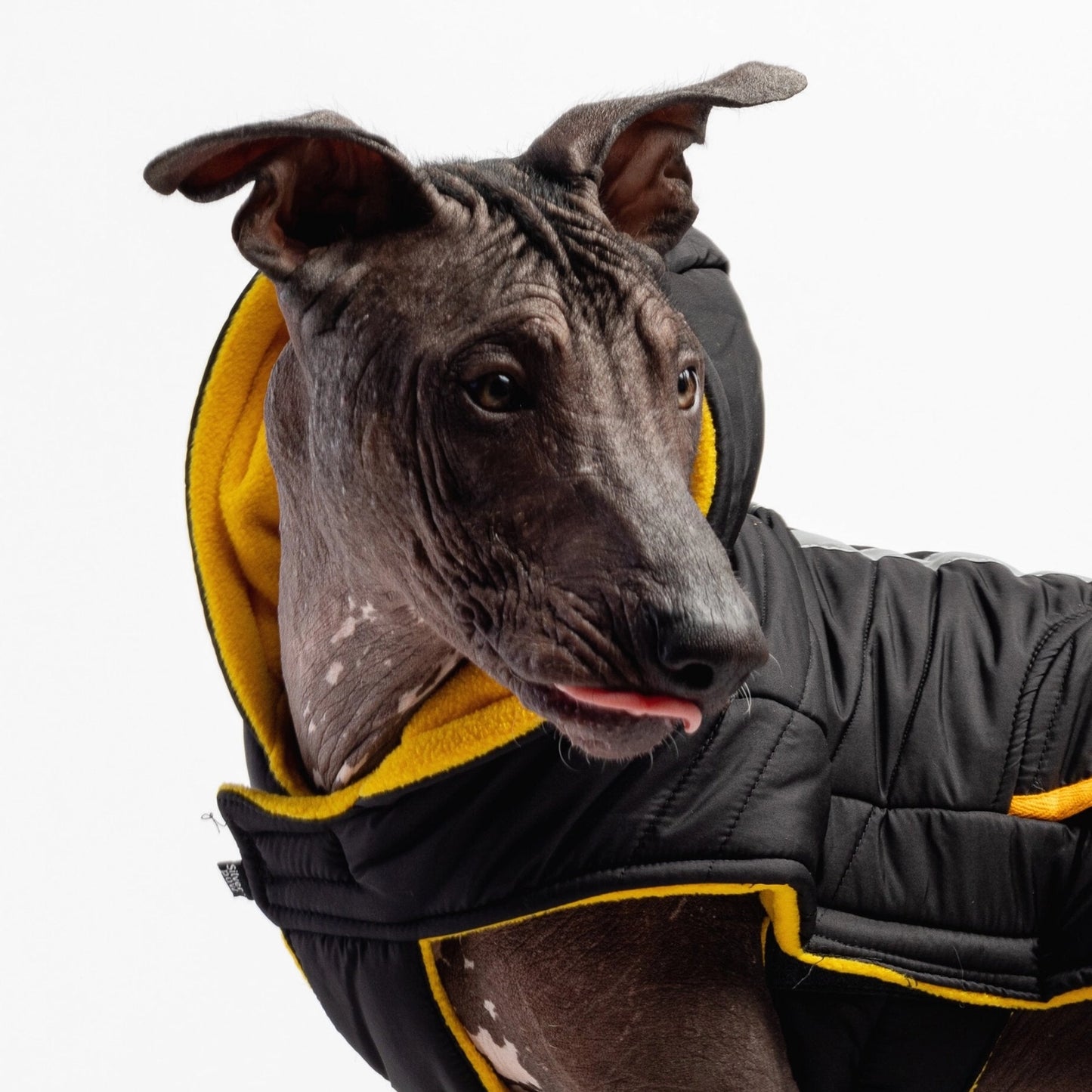 Jackson Dog Jacket - Black dog jacket Silver Paw XS