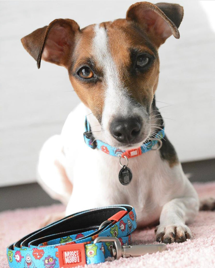 Max and Molly Dog Lead - Large Size - Various Designs - Woofy and Whiskers-Polyester-Quick drying neoprene- Heavy Duty Lobster claw metal clip- Pet Care > Dog Supplies Max & Molly Urban Pets