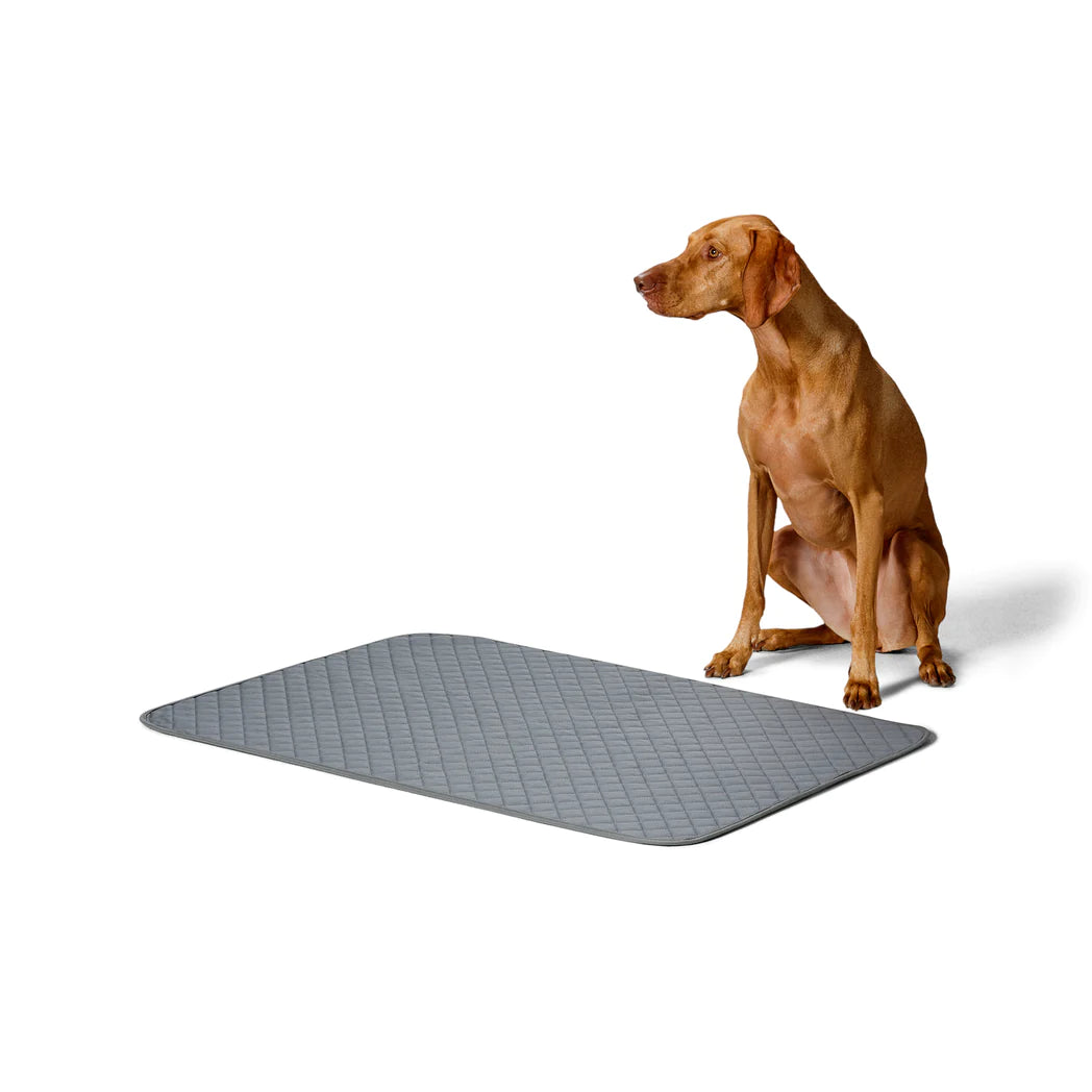 Snooza – Washable Pee Pad Pet training pads Snooza Large 2 Pack
