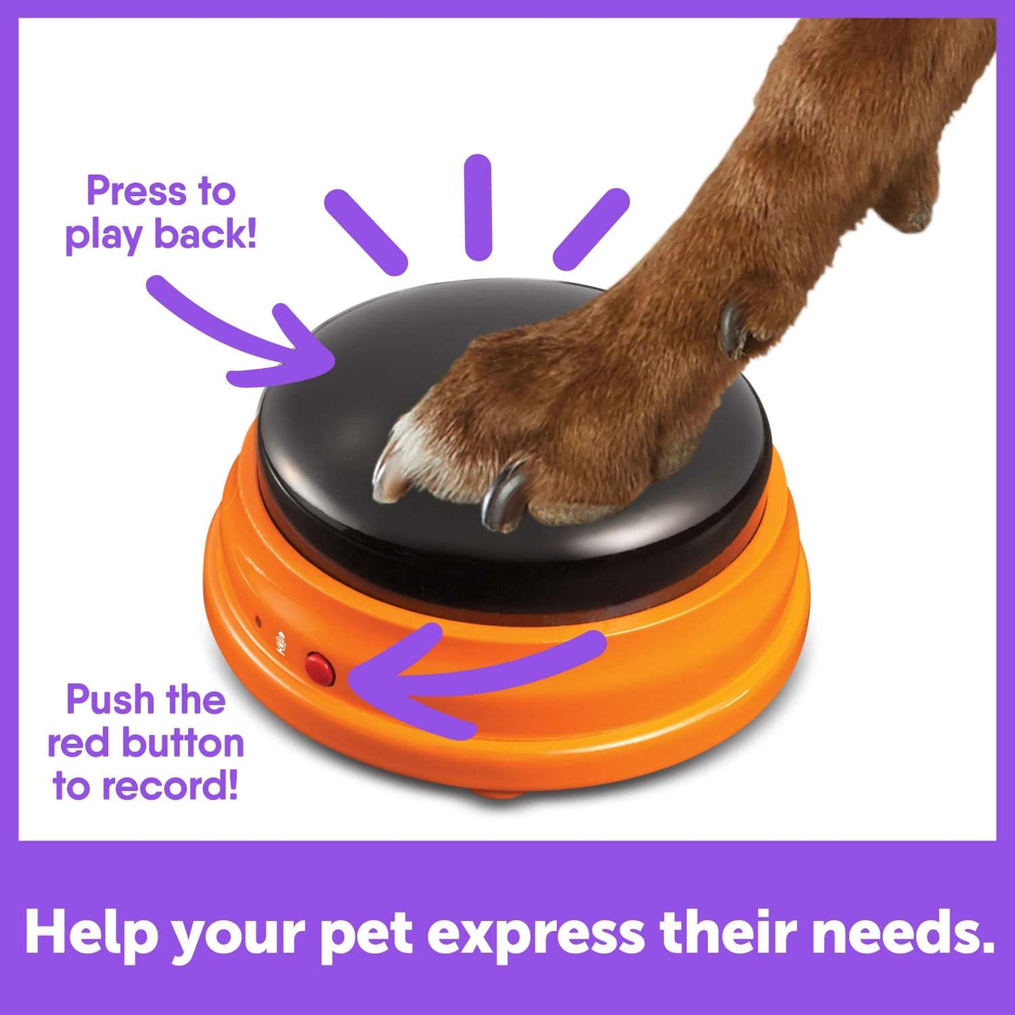 Hunger For Words Talking Pet Starter Set interactive dog toy Hunger for words