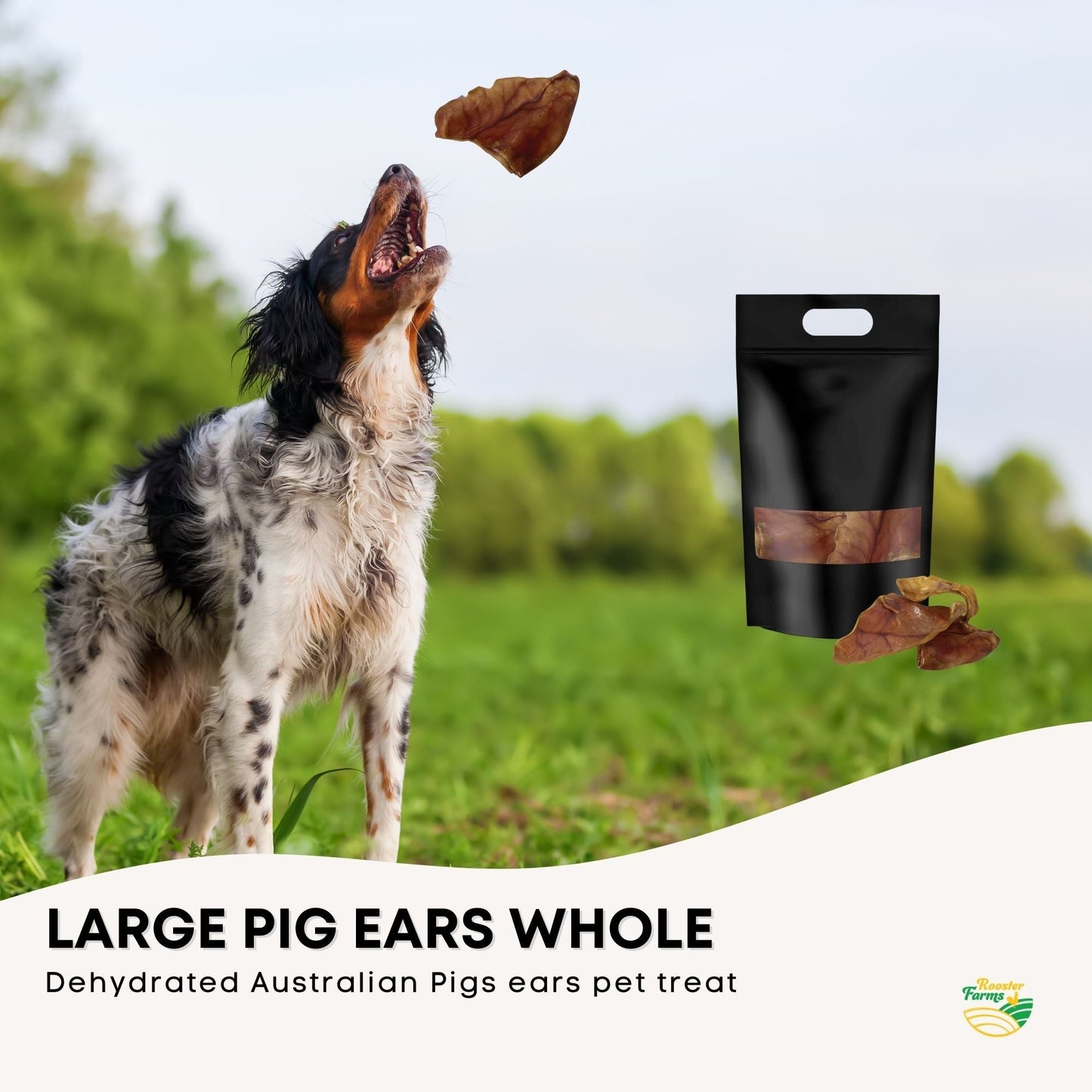 50x Dog Treat Large Pig Ears Whole - Dehydrated Australian Healthy Puppy Chew Pet Care > Pet Food > Dog Food Rooster Farm