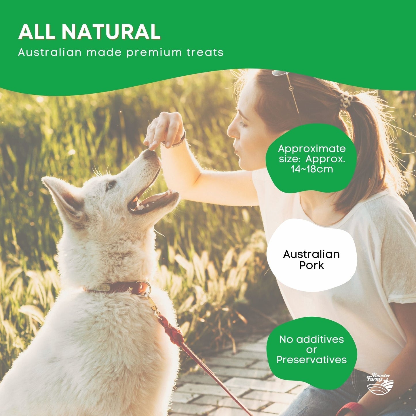 50x Dog Treat Large Pig Ears Whole - Dehydrated Australian Healthy Puppy Chew Pet Care > Pet Food > Dog Food Rooster Farm