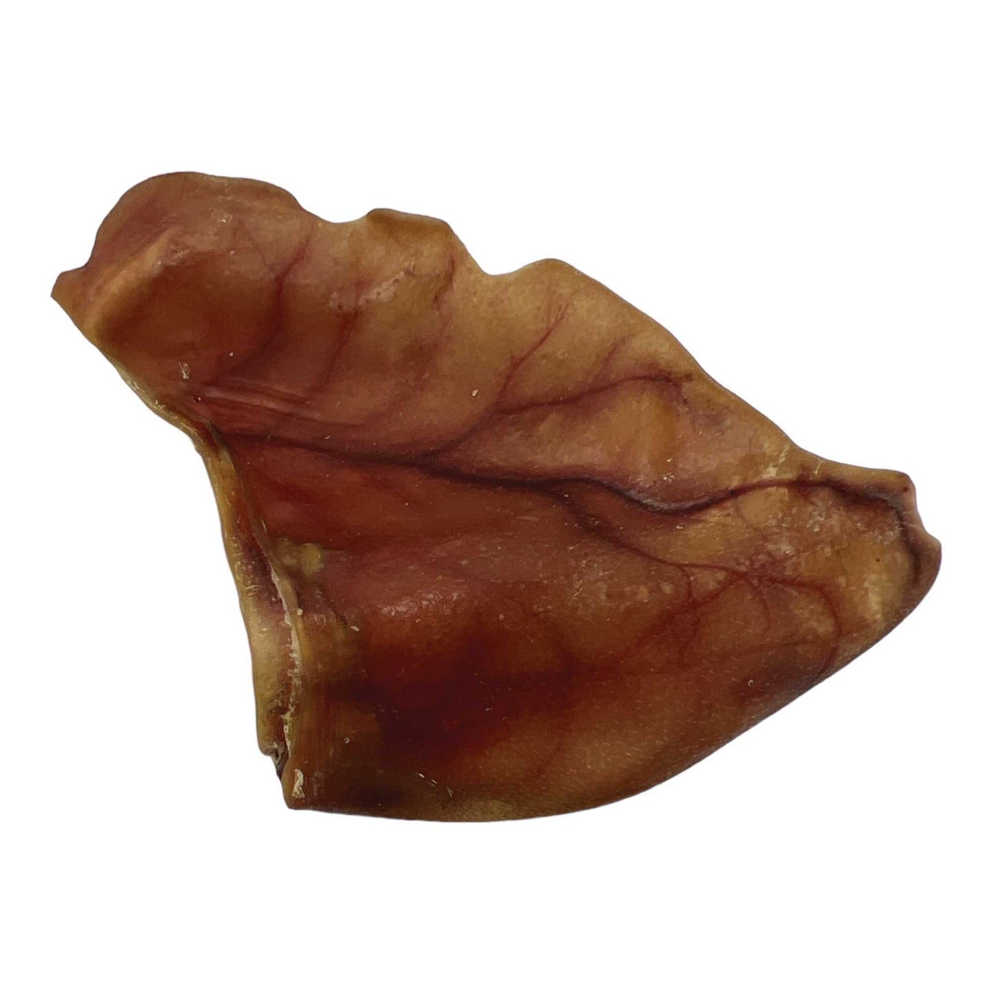 50x Dog Treat Large Pig Ears Whole - Dehydrated Australian Healthy Puppy Chew Pet Care > Pet Food > Dog Food Rooster Farm