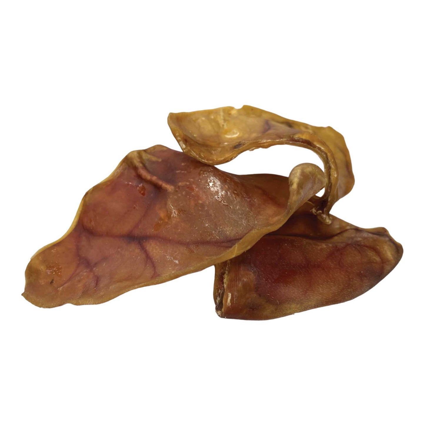 50x Dog Treat Large Pig Ears Whole - Dehydrated Australian Healthy Puppy Chew Pet Care > Pet Food > Dog Food Rooster Farm