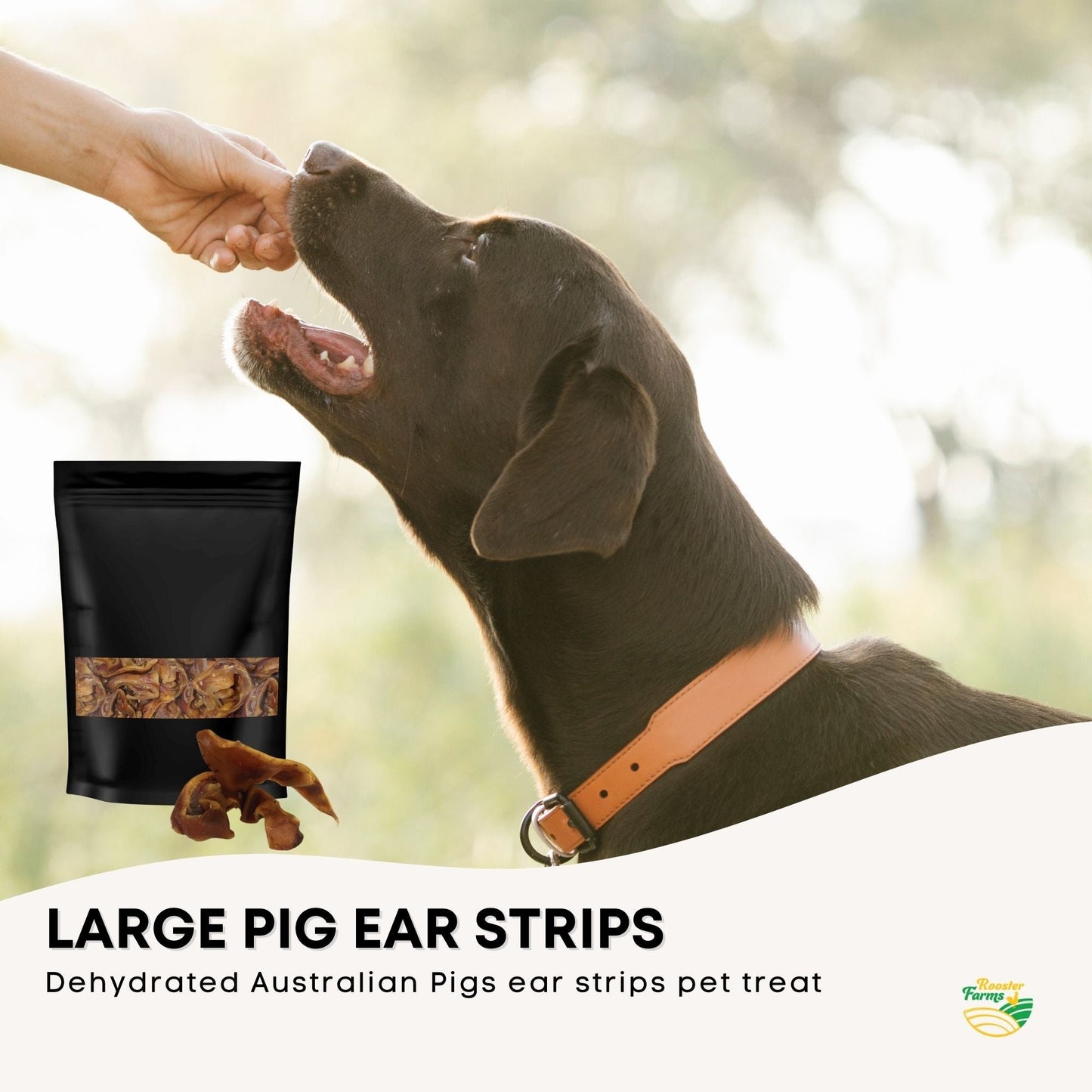 400g Dog Treat Pig Ear Strips - Dehydrated Australian Healthy Puppy Chew Pet Care > Pet Food > Dog Food Rooster Farm