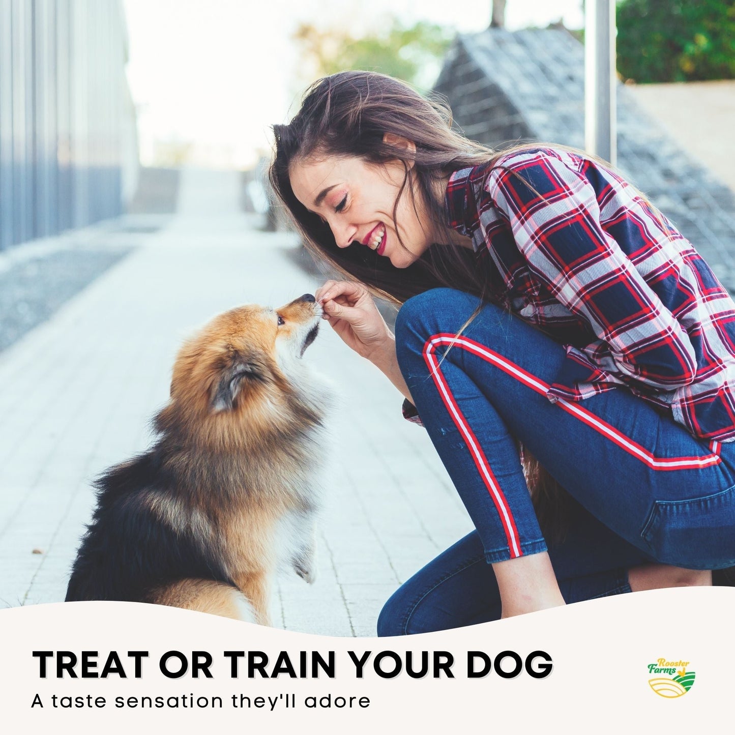 400g Dog Treat Pig Ear Strips - Dehydrated Australian Healthy Puppy Chew Pet Care > Pet Food > Dog Food Rooster Farm