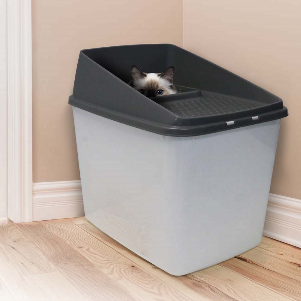 XL Top Entry Cat Litter Box No Mess Large Enclosed Covered Kitty Tray Pet Care > Cat Supplies > Cat Litter YES4PETS
