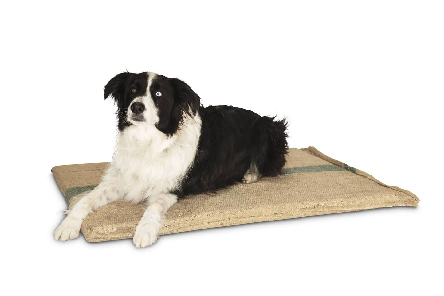 Large Hessian Pet Dog Puppy Bed Mat Pad House Kennel Cushion With Foam 100 x 69 cm Pet Care > Dog Supplies > Dog Beds Woofy and Whiskers