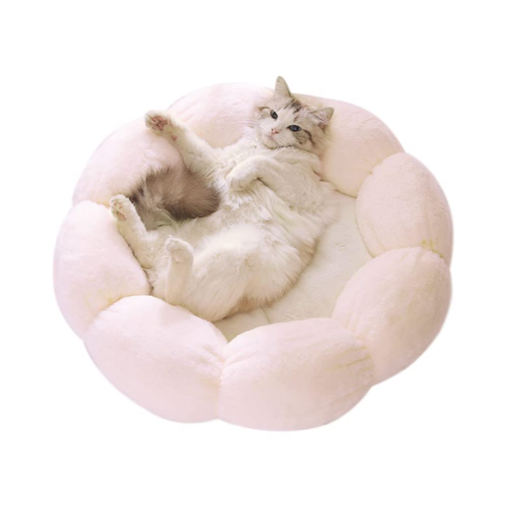 LIFEBEA Anti Skid Cute Cat Bed for Cats and Small Dogs-Light Pink-S Pet Care > Dog Supplies > Dog Beds Woofy and Whiskers