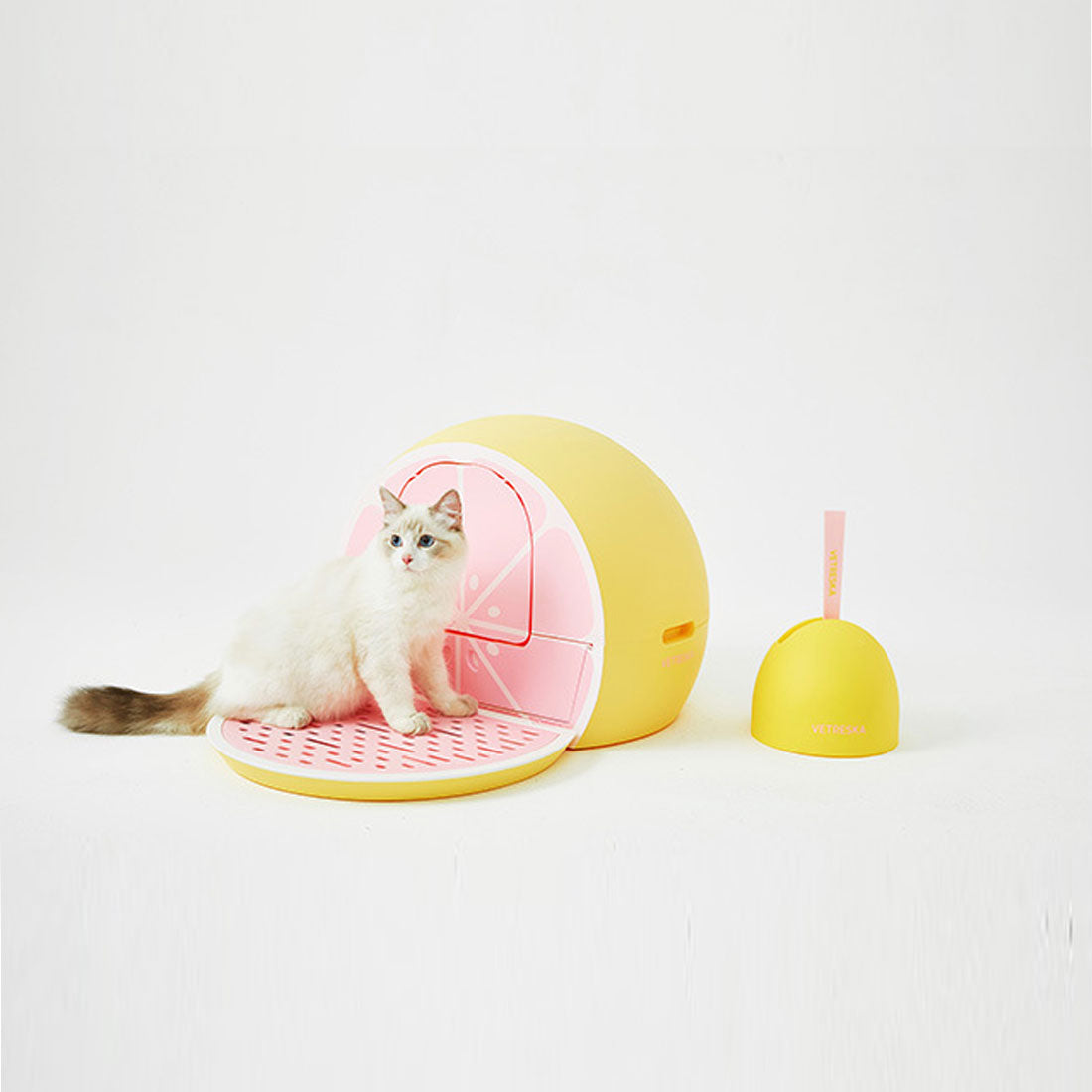 Vetreska Fruity Portable Cat Kitty Toilet Litter Box Tray House Lid Scoop Set Grapefruit Pet Care > Cat Supplies > Cat Litter Woofy and Whiskers