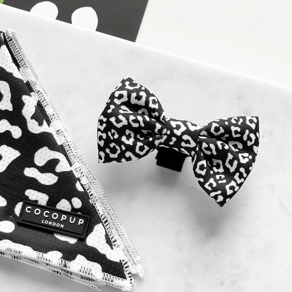 Cocopup London – Bow Tie – Black Leopard Dog Apparel bow tie Cocopup London