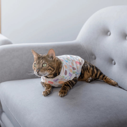 Sugary Couture: Adorable Macaroon T-Shirt For Your Kitten cat clothing The furry fox