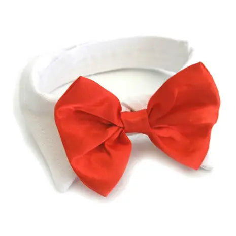 White Collar with Black Bow Tie Dog Dog Apparel bow tie doggie design Double extra large (XXL) Red