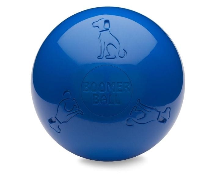 Company of Animals – Boomer Ball tough dog toys Company of Animals Plastic 8 Inch/200mm