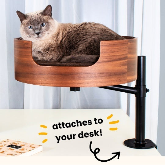 Desk Nest Cat Bed - The Purrfect Cat Bed for Your Desk Cat bed desk Nest