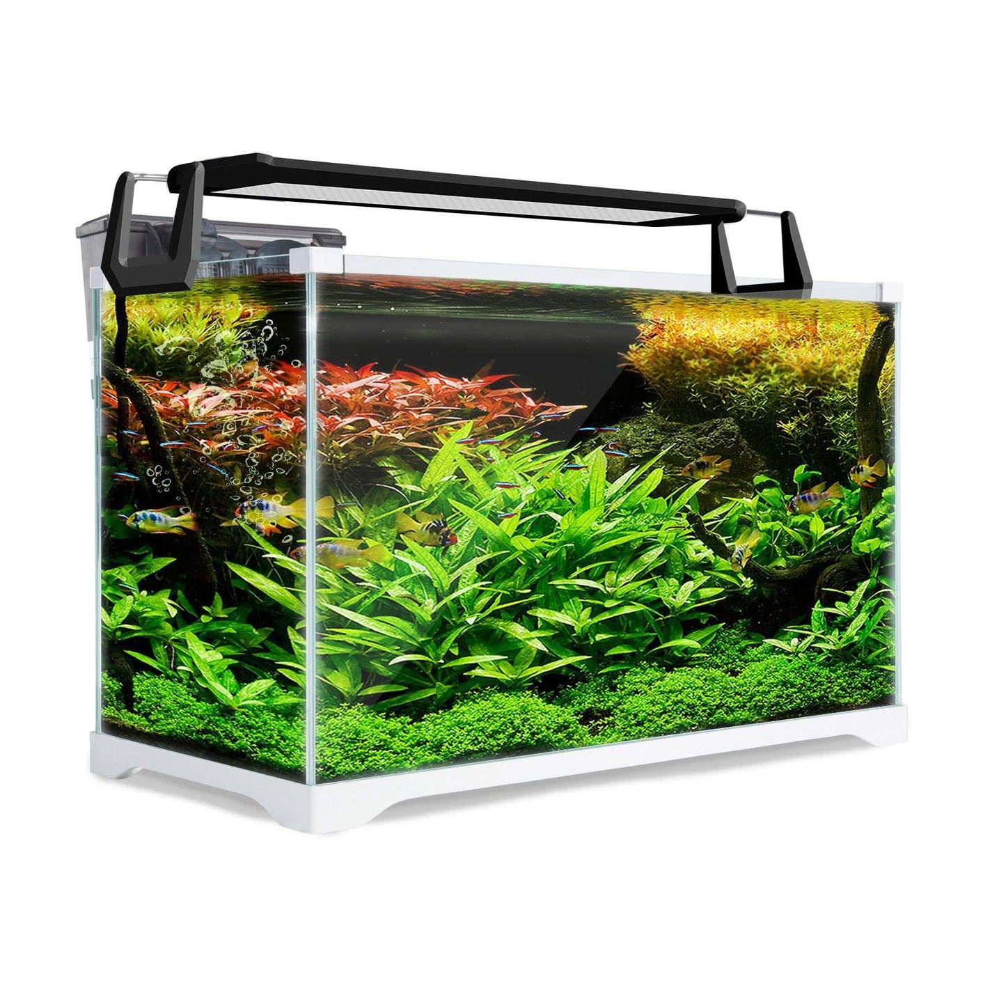 Dynamic Power Aquarium Fish Tank 39L Starfire Glass Pet Care > Aquarium Dynamic Power