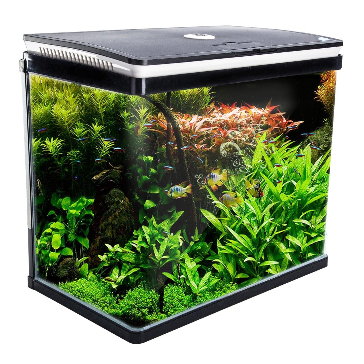 Dynamic Power Aquarium Fish Tank 52L Curved Glass RGB LED Pet Care > Aquarium Dynamic Power