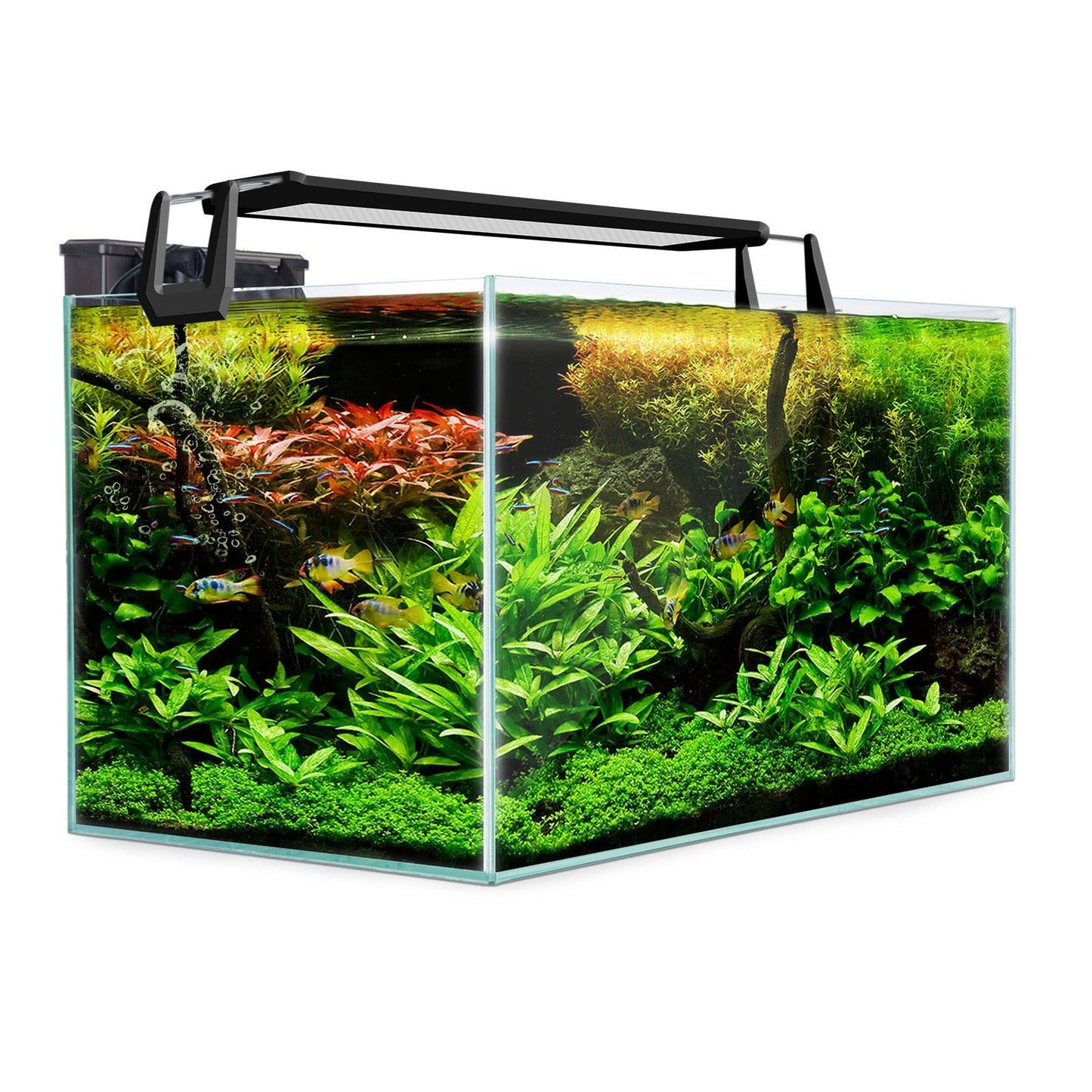 Dynamic Power Aquarium Fish Tank 70L Starfire Glass Pet Care > Aquarium Dynamic Power