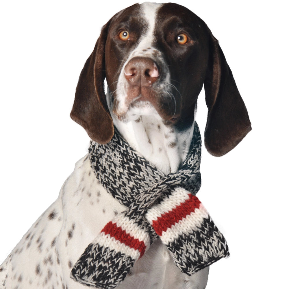 Bestseller Boyfriend Pet Scarf Hand knitted dog Scarf Chilli Dog Large