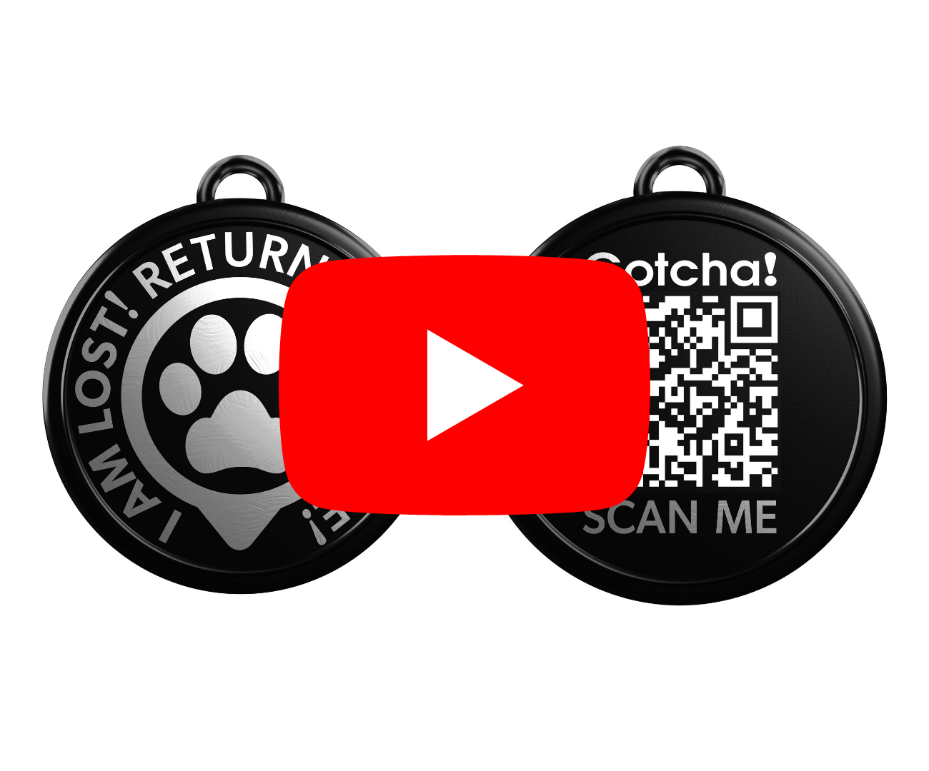 Max and Molly youtube video
