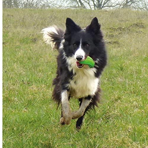 Major Dog Zucchini Treat Toy Pet Care > Toys Major Dog