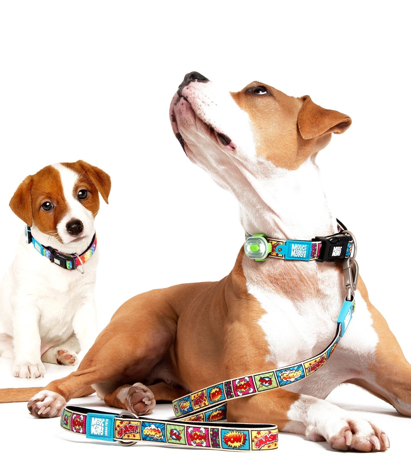 Max & Molly Smart ID Dog Collar - Various Designs Dog Collar Max & Molly Urban Pets X Small Black sheep
