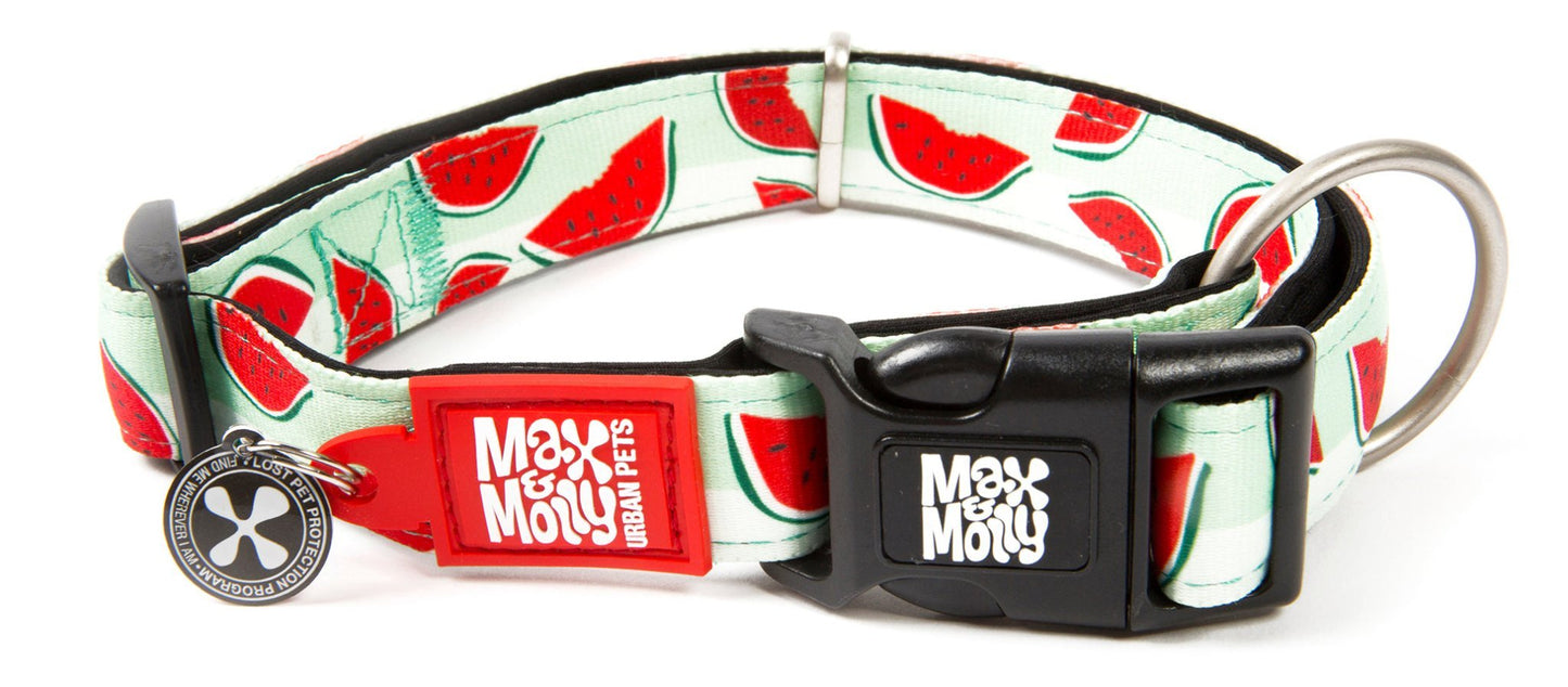 Max & Molly Smart ID Dog Collar - Various Designs Dog Collar Max & Molly Urban Pets X Small Watermelon