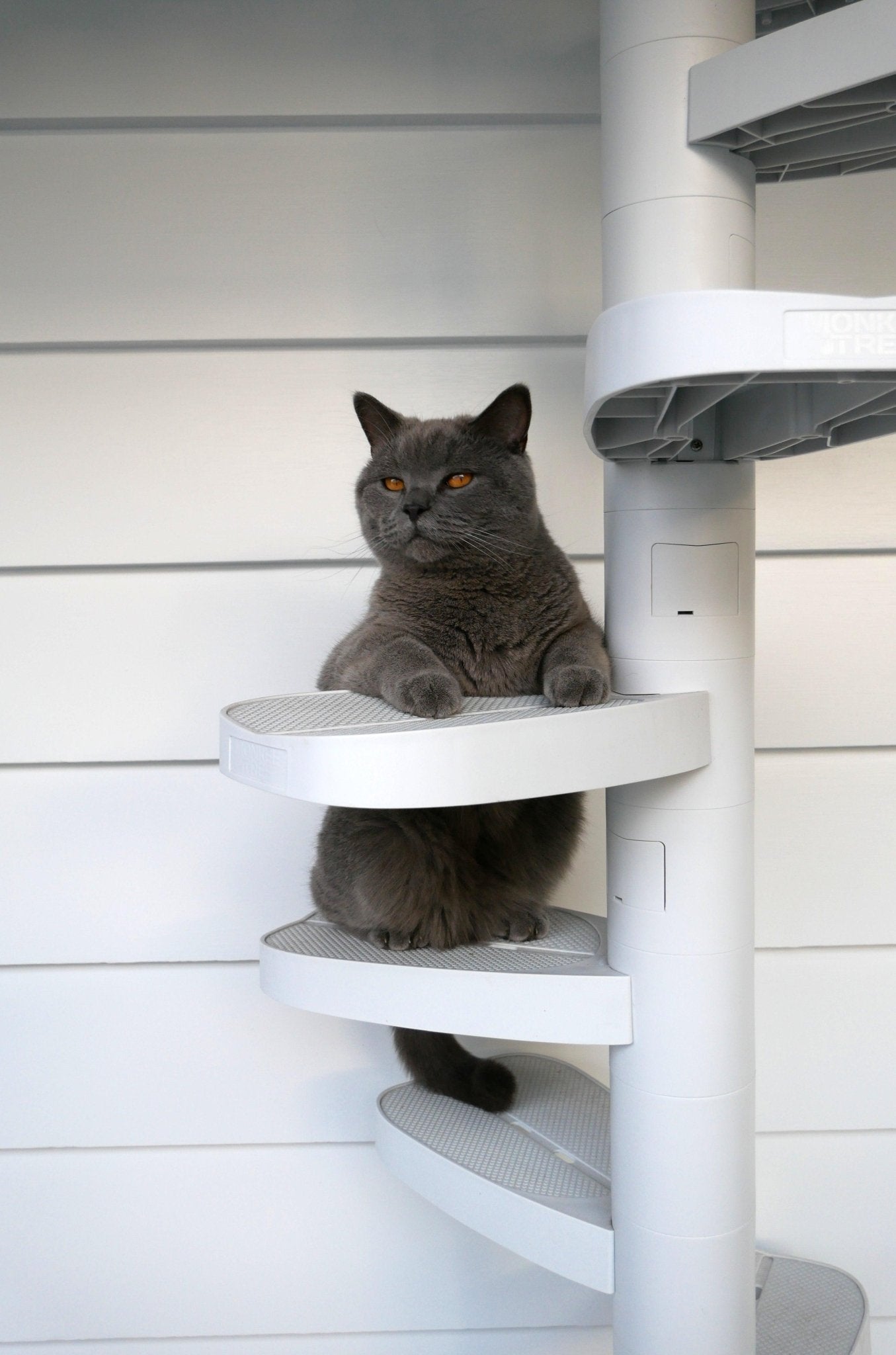 Monkee Tree - The Scalable Cat Climbing Ladder 18 Trunk Starter Pack Cat Toys and Scratchers Monkee Tree