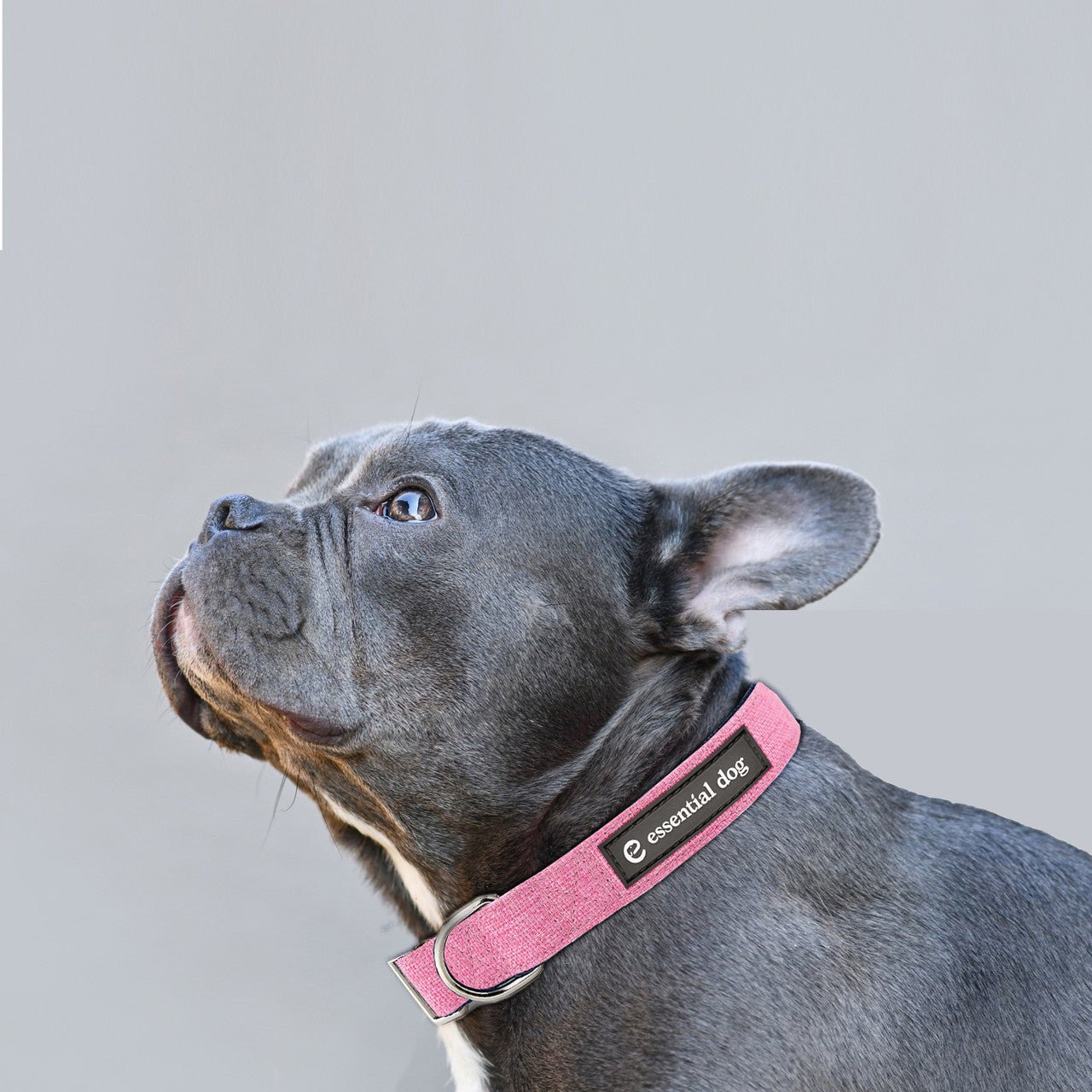 Natural Hemp & Cotton Dog Collar & Leash (sold seperate) (Orange Burst) Pet Care > Dog Supplies Essential Dog XS Pink Collar