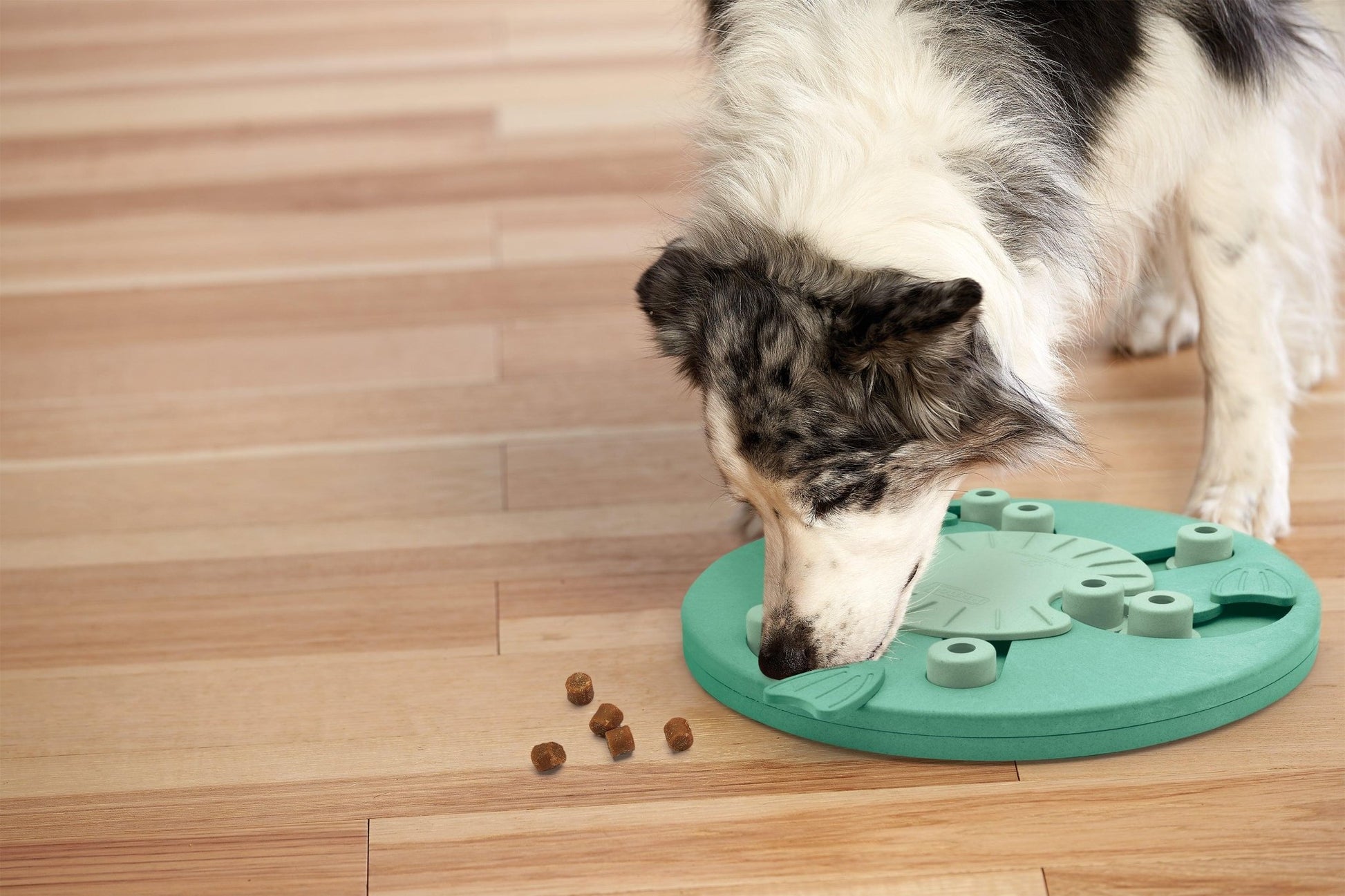 Nina Ottosson Dog Worker Treat Dispensing Interactive Dog Game Level 3 Dog toys Nina Ottoson