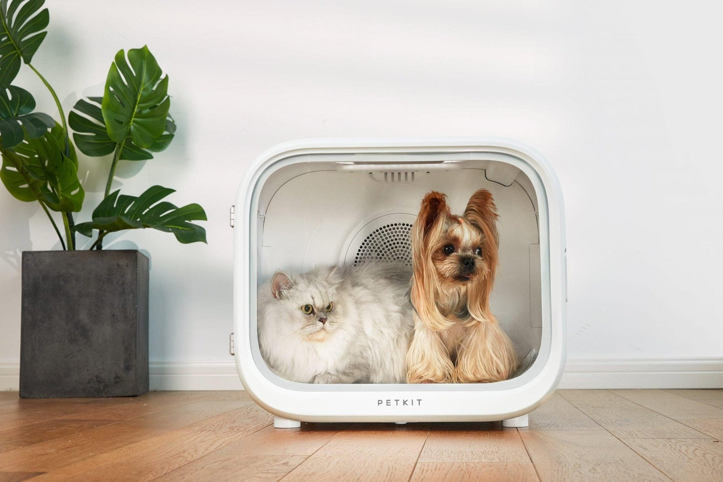PETKIT AIRSALON Smart Pet Dryer Box Grooming products Petkit