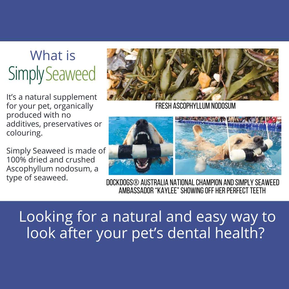 Simply Seaweed Natural Dental Health Care for Cats & Dogs - 1.5kg Pet Care > Cleaning & Maintenance Simply Seaweed