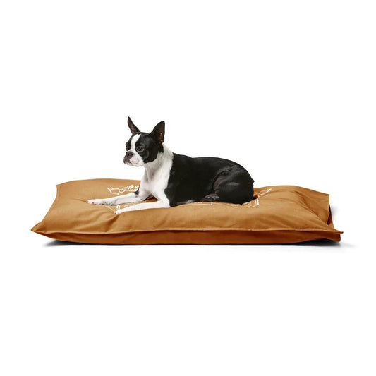 Snooza – Summer Cotton Canvas Pet Futon – Caramel - Mighty - Original dog bed Snooza Mighty Caramel