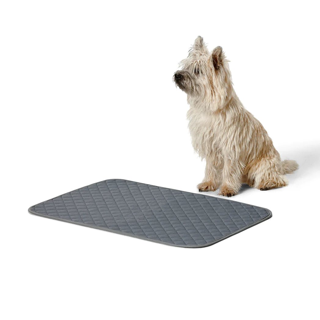 Snooza – Washable Pee Pad Pet training pads Snooza Small 2 Pack