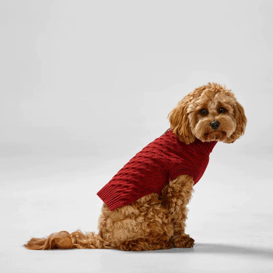 Snooza Wear – RPET Knit Polo – Red-Large-Warm-Eco Friendly Dog Apparel Snooza Red